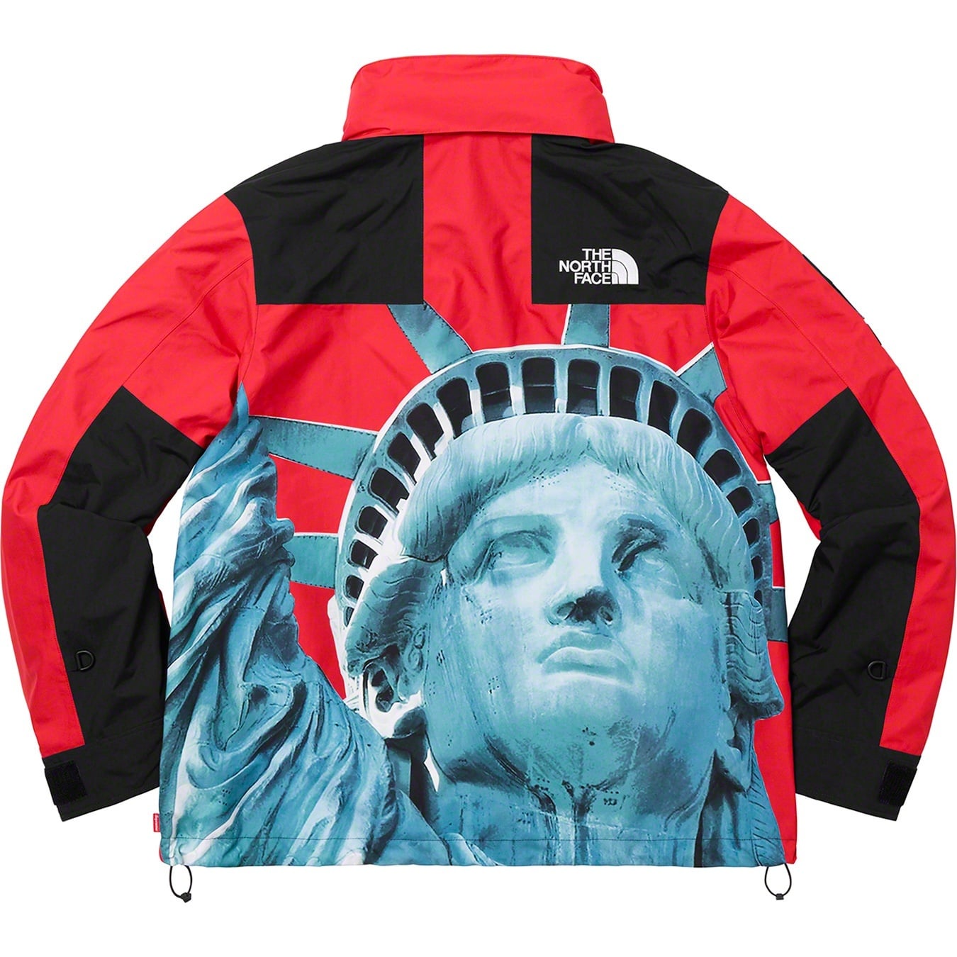 Supreme®/The North Face® Statue of Liberty Mountain Jacket view 5